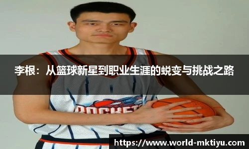 mk体育官网
